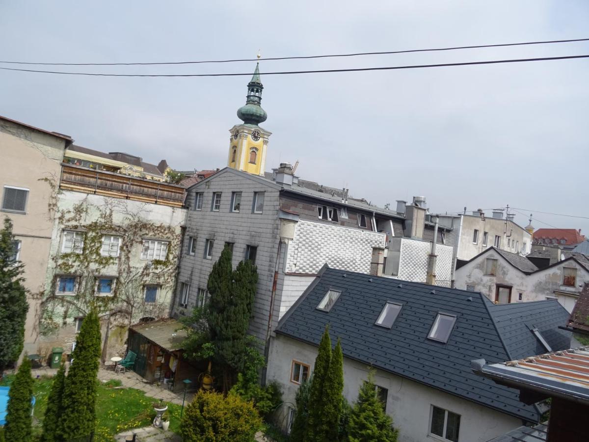 Homely Apartment In The Center With Garden View Gmunden Luaran gambar